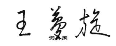 駱恆光王夢旋草書個性簽名怎么寫