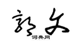 朱錫榮郭文草書個性簽名怎么寫
