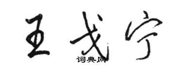 駱恆光王戈寧行書個性簽名怎么寫