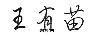 駱恆光王有苗行書個性簽名怎么寫