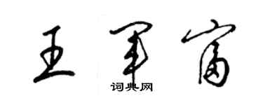 梁錦英王軍富草書個性簽名怎么寫