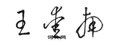 駱恆光王愛南草書個性簽名怎么寫