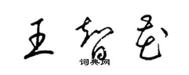 梁錦英王智花草書個性簽名怎么寫
