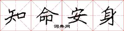 袁強知命安身楷書怎么寫