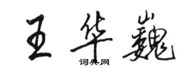 駱恆光王華巍行書個性簽名怎么寫