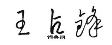 駱恆光王占鋒草書個性簽名怎么寫