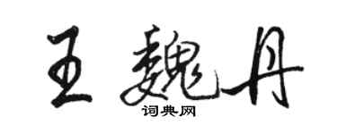 駱恆光王魏丹行書個性簽名怎么寫