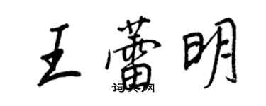 王正良王蕾明行書個性簽名怎么寫