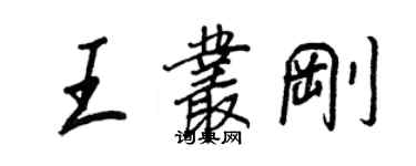 王正良王叢剛行書個性簽名怎么寫