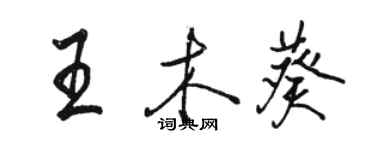 駱恆光王木葵行書個性簽名怎么寫