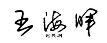 朱錫榮王海暉草書個性簽名怎么寫