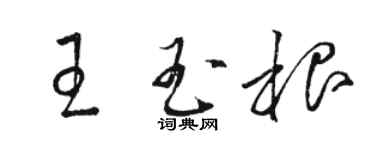 駱恆光王玉根草書個性簽名怎么寫