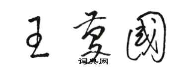 駱恆光王慶國草書個性簽名怎么寫