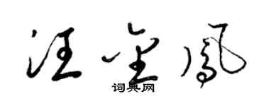 梁錦英汪金鳳草書個性簽名怎么寫