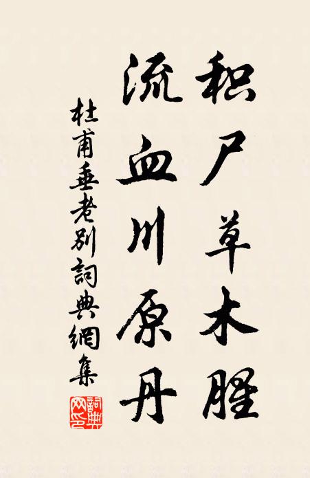 秋雨何曾歇,秋深倍寂寥 詩詞名句