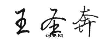 駱恆光王聖奔行書個性簽名怎么寫