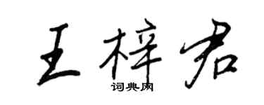 王正良王梓君行書個性簽名怎么寫