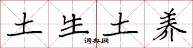 袁強土生土養楷書怎么寫