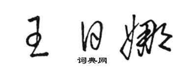 駱恆光王日娜草書個性簽名怎么寫