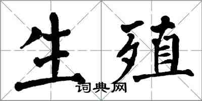 翁闓運生殖楷書怎么寫