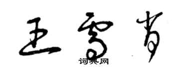 曾慶福王雪肖草書個性簽名怎么寫