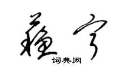 梁錦英蘇寧草書個性簽名怎么寫