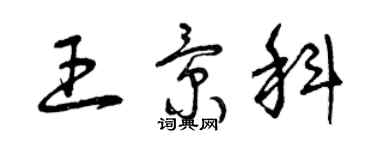 曾慶福王景科草書個性簽名怎么寫