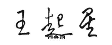 駱恆光王起星草書個性簽名怎么寫