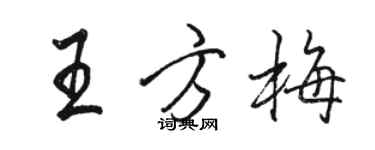 駱恆光王方梅行書個性簽名怎么寫