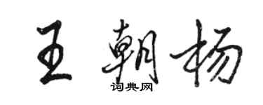 駱恆光王朝楊行書個性簽名怎么寫