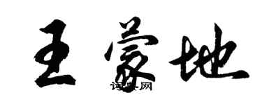 胡問遂王蒙地行書個性簽名怎么寫