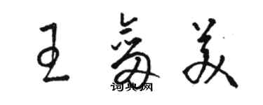 駱恆光王劍美草書個性簽名怎么寫