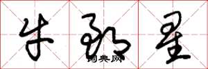 朱錫榮牛郎星草書怎么寫