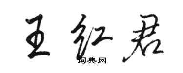 駱恆光王紅君行書個性簽名怎么寫