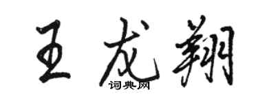 駱恆光王龍翔行書個性簽名怎么寫