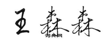 駱恆光王森森行書個性簽名怎么寫