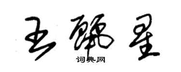 朱錫榮王麗星草書個性簽名怎么寫