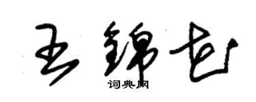 朱錫榮王錦花草書個性簽名怎么寫