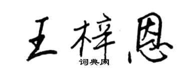 王正良王梓恩行書個性簽名怎么寫