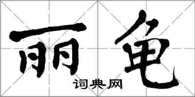 翁闓運麗龜楷書怎么寫