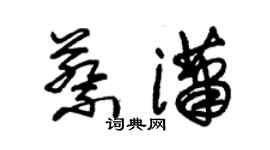 朱錫榮蔡瀟草書個性簽名怎么寫