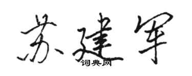駱恆光蘇建軍行書個性簽名怎么寫
