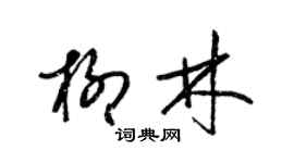 梁錦英柳林草書個性簽名怎么寫