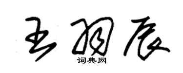 朱錫榮王羽辰草書個性簽名怎么寫