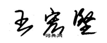 朱錫榮王宏堅草書個性簽名怎么寫