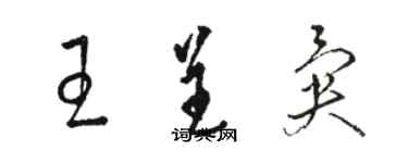 駱恆光王呈異草書個性簽名怎么寫