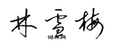 梁錦英林雪梅草書個性簽名怎么寫