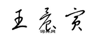 梁錦英王晨寅草書個性簽名怎么寫