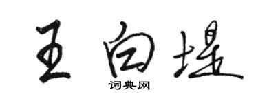 駱恆光王白堤行書個性簽名怎么寫