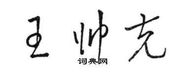 駱恆光王帥克草書個性簽名怎么寫